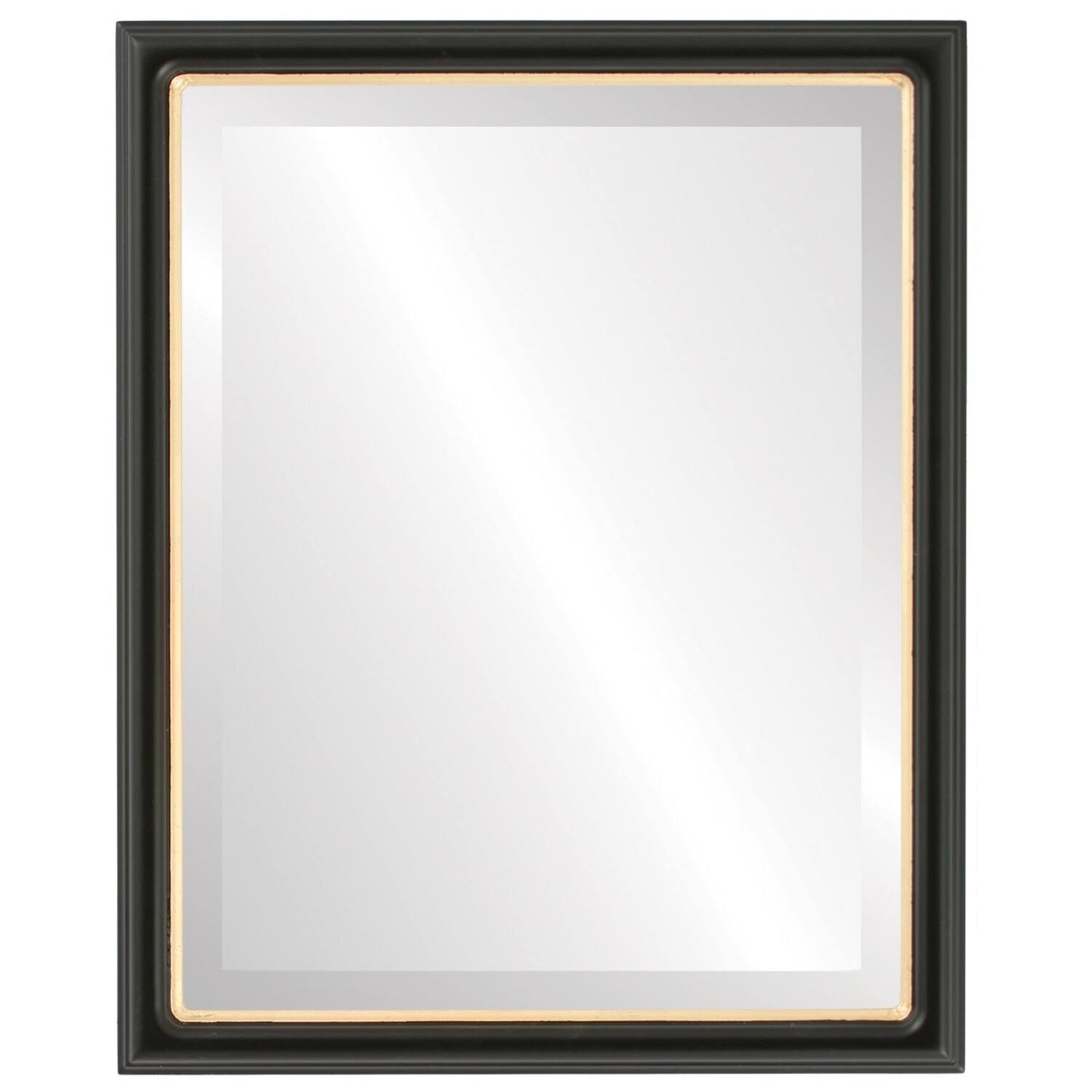 Saratoga Framed Rectangle Mirror in Matte Black, 17