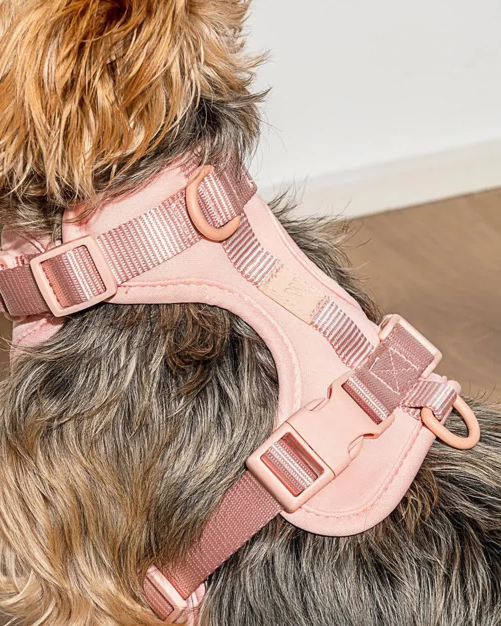 Wild One - Dog Harness - Pink - Medium