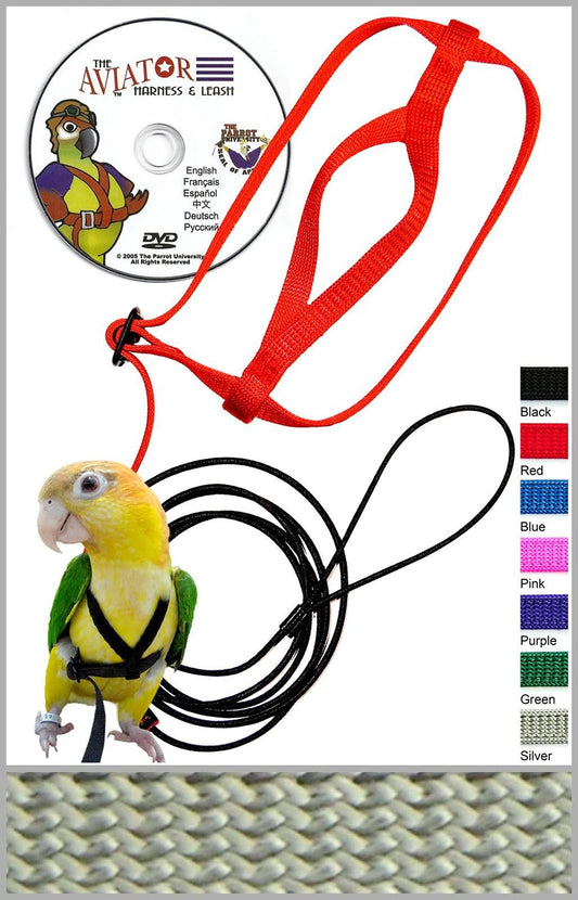 The Aviator Pet Bird Harness and Leash Small Silver