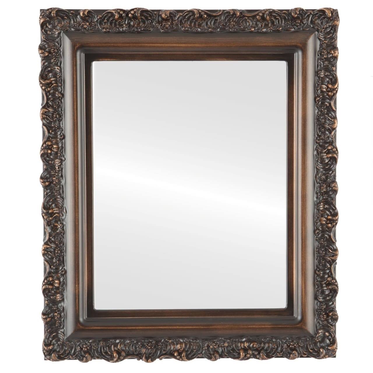 Venice Framed Rectangle Mirror in Rubbed Bronze - Antique Bronze - 25x29