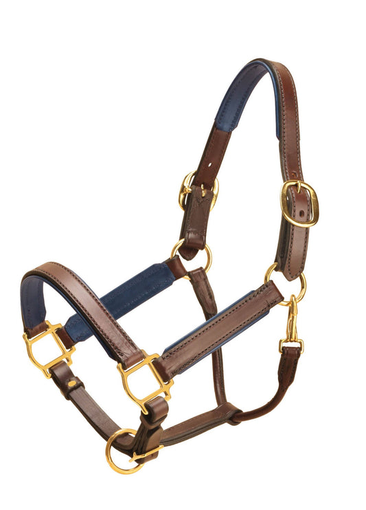 Tory Leather Tory Padded Leather Halter Horse Havana/Navy