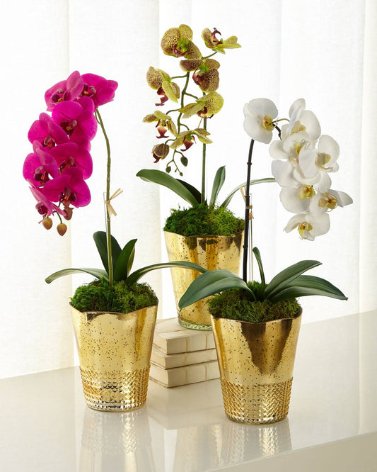 T C Floral Green Orchid in Gold Vintage Mercury Glass