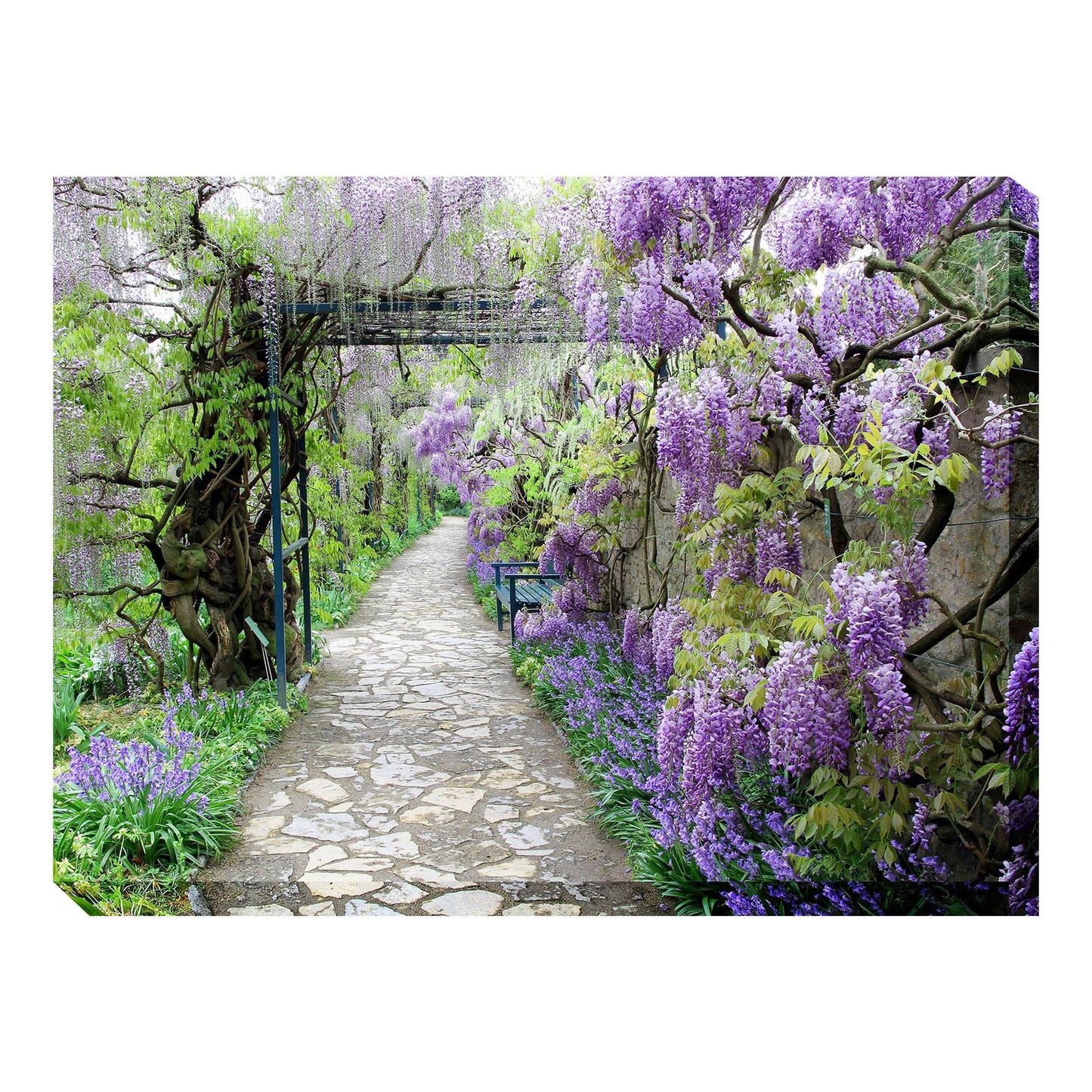 Wisteria Path Outdoor All-Weather Canvas Wall Art