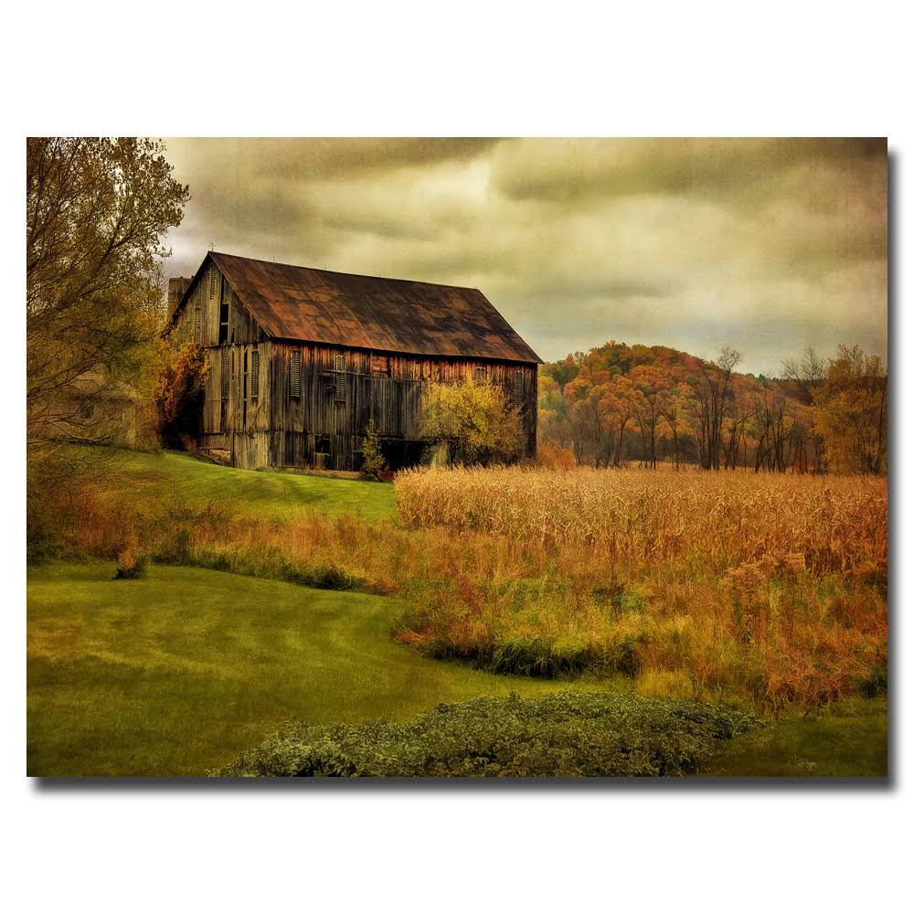 Trademark Fine Art Old Barn on Rainy Day by Lois Bryan Canvas Wall Art, 22x32-Inch