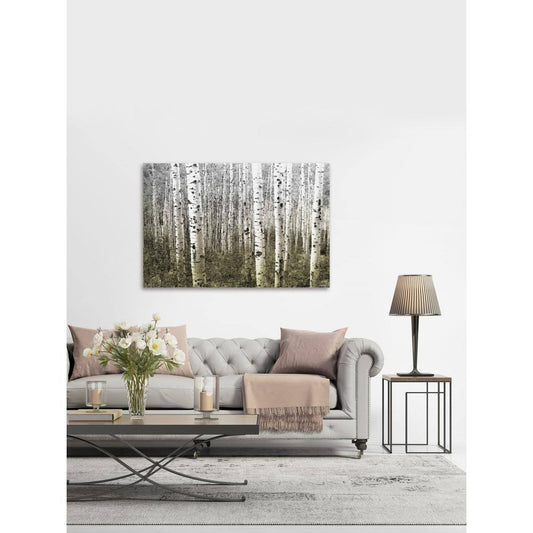 Parvez Michel 30 in. H x 45 in. W Aspen Highlands by Parvez Taj Printed Canvas Wall Art, Multi-Colored