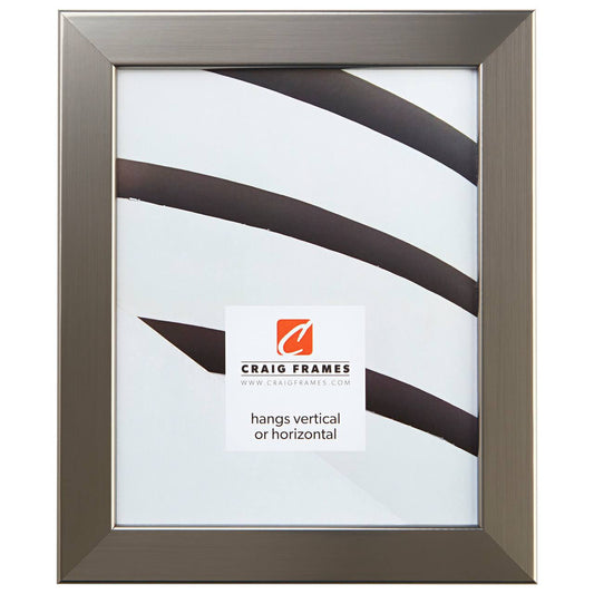 Craig Frames Bauhaus 125, 10 x 12 inch Picture Frame, Modern Stainless Silver